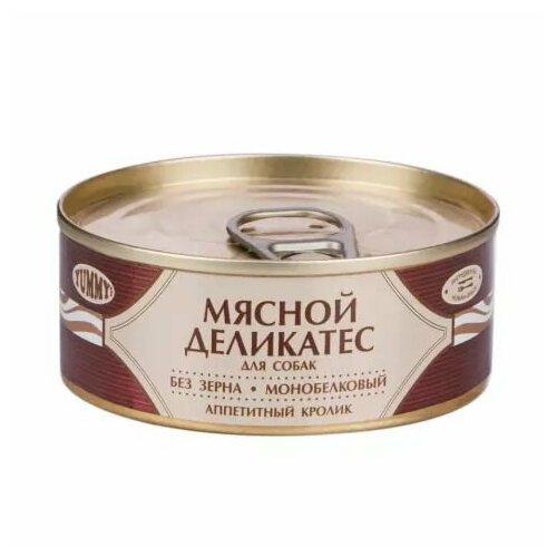 6 ШТ Yummy Мясной Деликатес консервы для собак, с натуральным кроликом в желе, 100 г