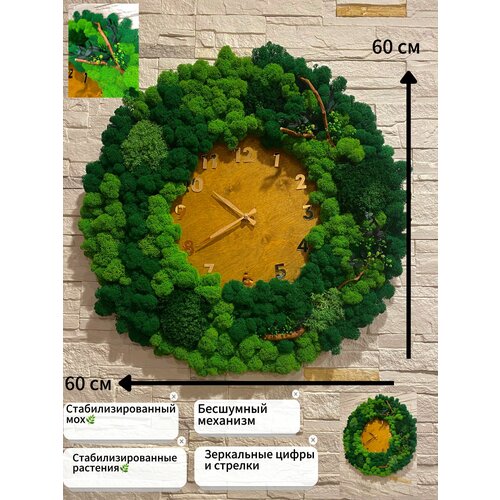 Часы из мха большие 60 см 12826₽