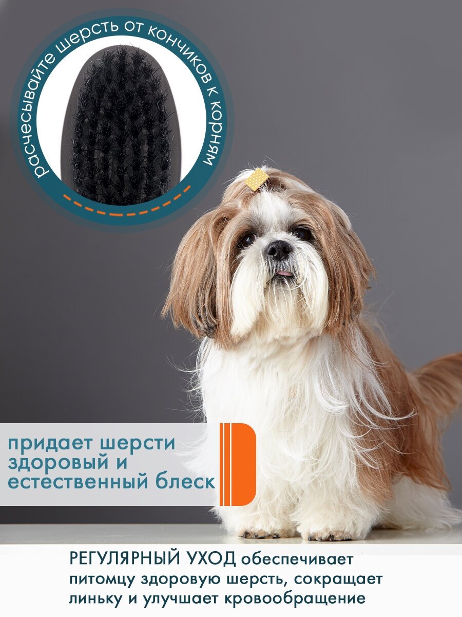 Изображение Щётка для ухода за шерстью собак DeLIGHT 5309S, c натуральной щетиной кабана умеренной жесткости, маленькая