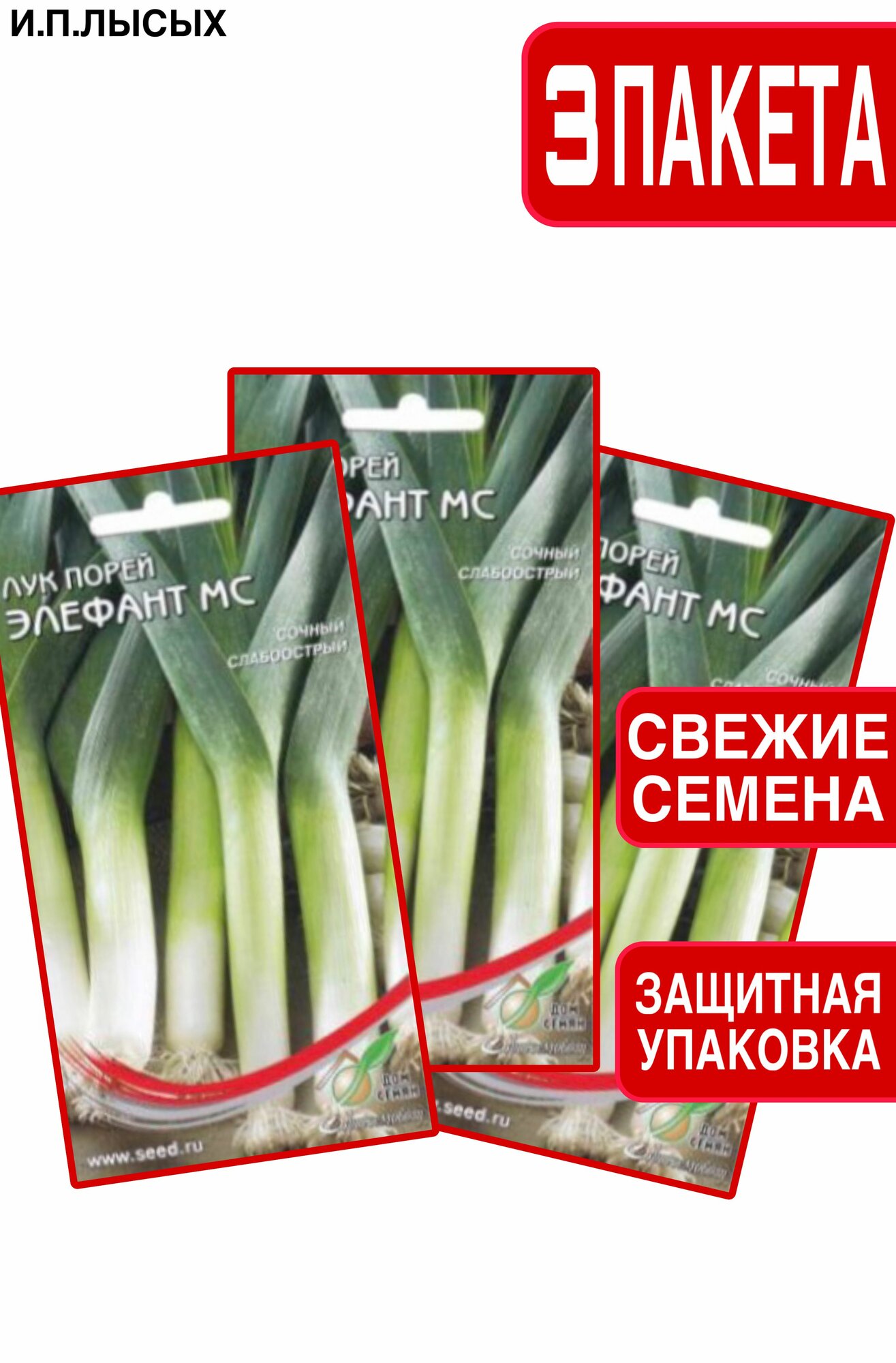 Семена лук порей 