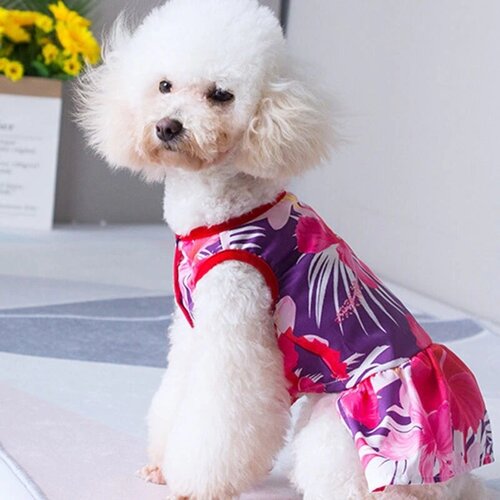 Платье для собак Даша (37см девочка)