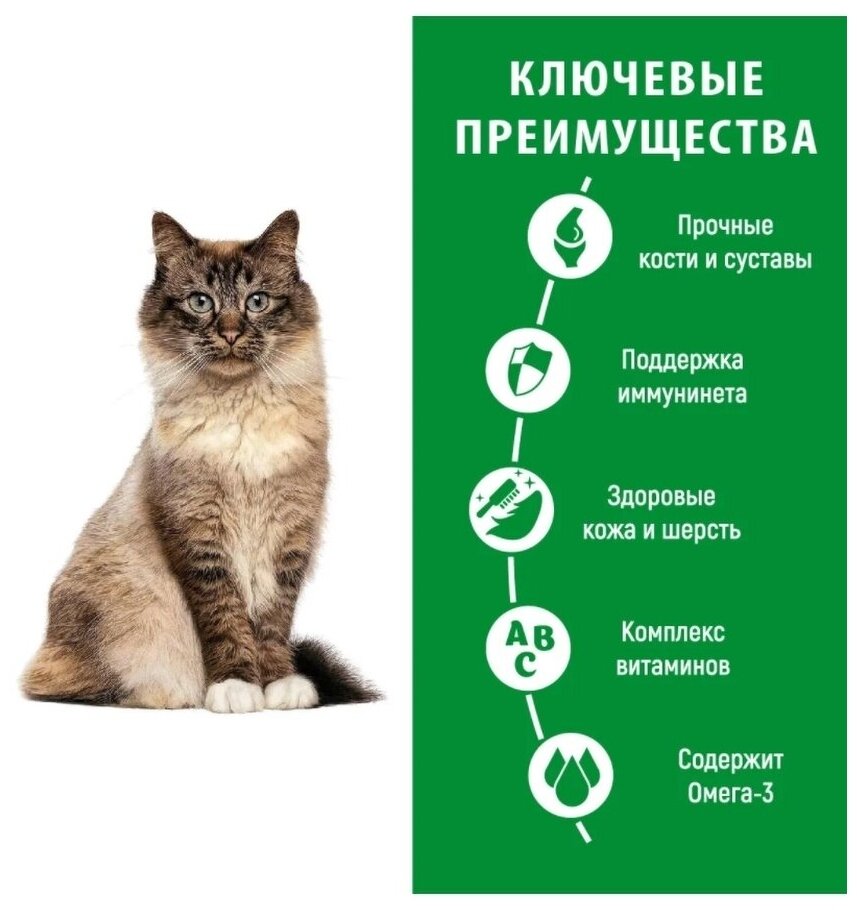 Adult Cat Turkey индейка сух. 500г Frais - фото №13