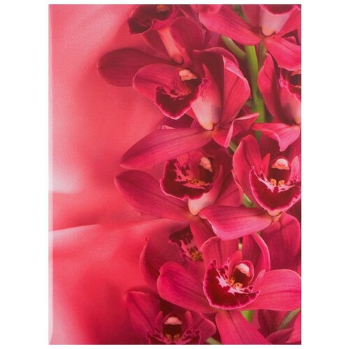 Имидж Папка адресная Цветы А4 ламинированный картон, розовый
