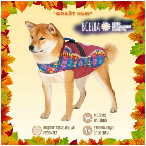 Попона для собак 