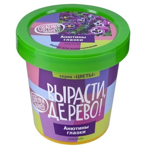 Набор для выращивания растений вырасти дерево! zk-124 Анютины глазки