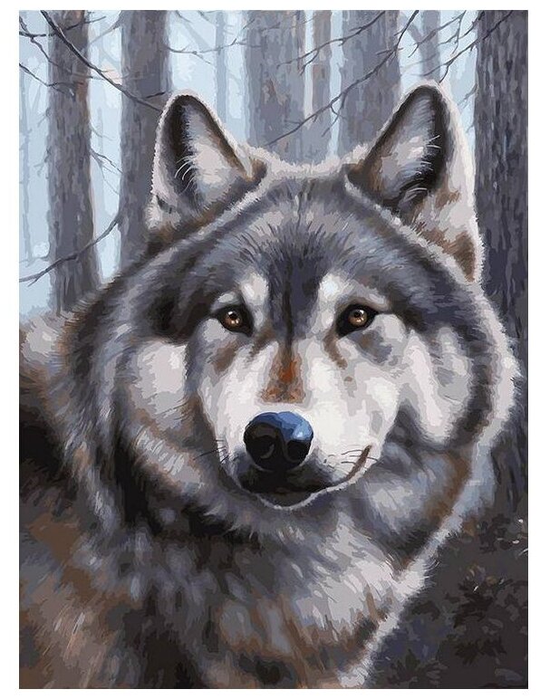 Картина по номерам Белоснежка "Волк" / Раскраска / Холст на подрамнике 30х40 см. / Животные