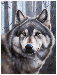 Белоснежка Картина по номерам "Волк" (090-AS)40x30см