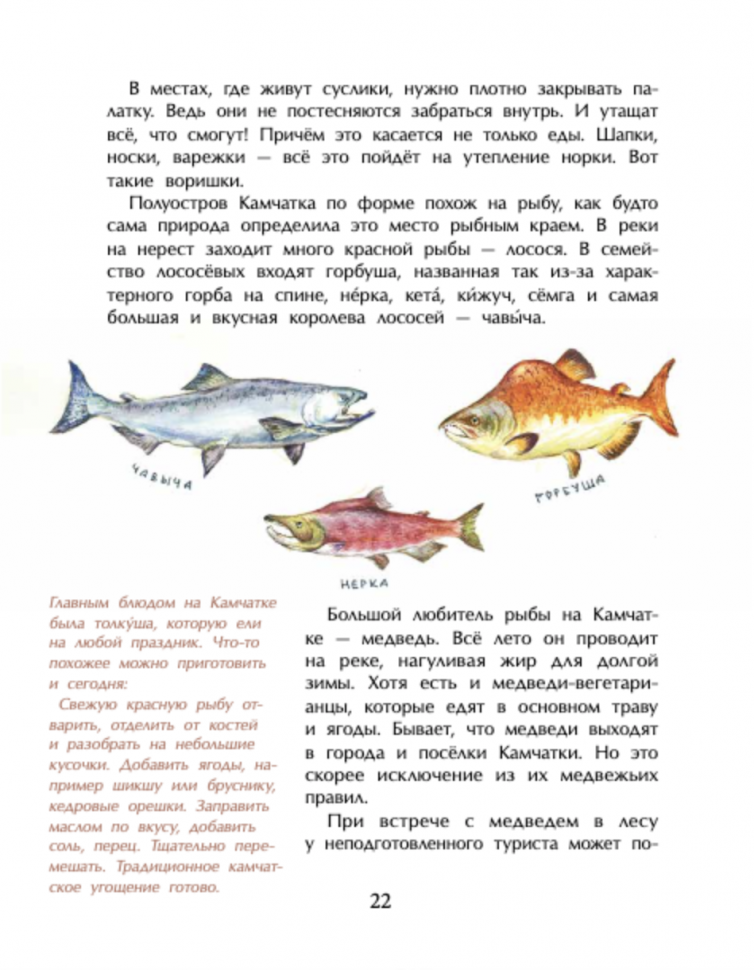 Камчатка. Снежная и огненная (Кудряшова Анастасия Юрьевна) - фото №9