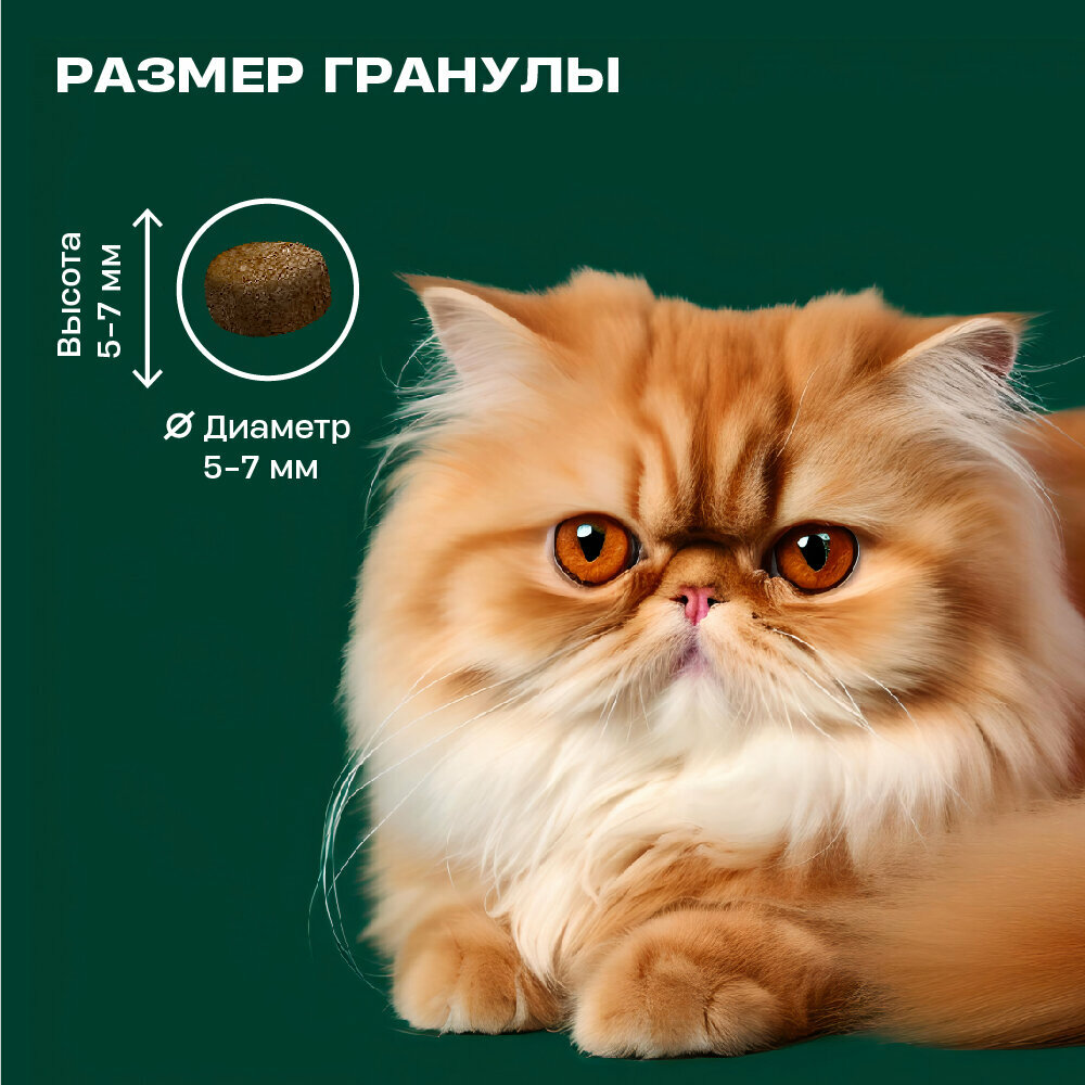 "Wellement" с уткой сухой корм для котят 1,5кг - фотография № 3