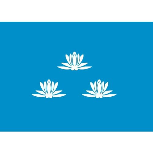 Термонаклейка флаг Новокуйбышевска, 7 шт