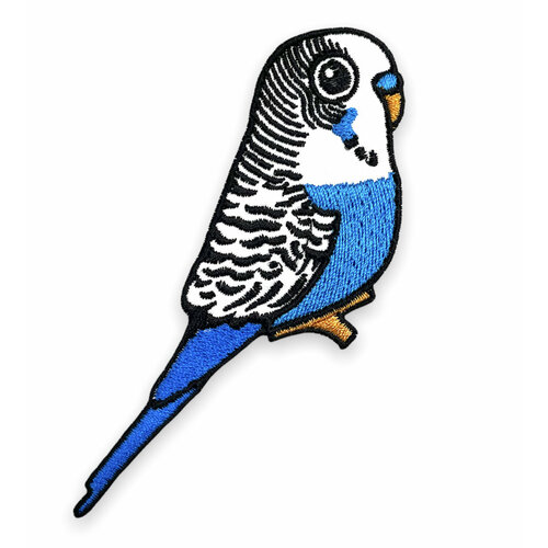 Нашивка попугай голубой нашивка с логотипом tad gear 7 5х7 5см