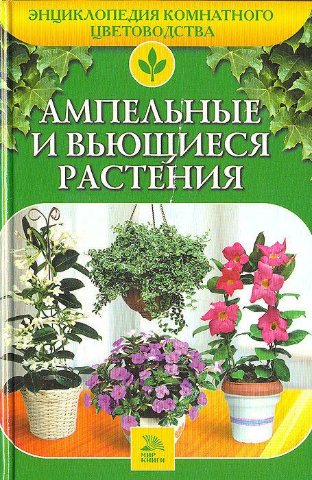 Ампельные и вьющиеся растения
