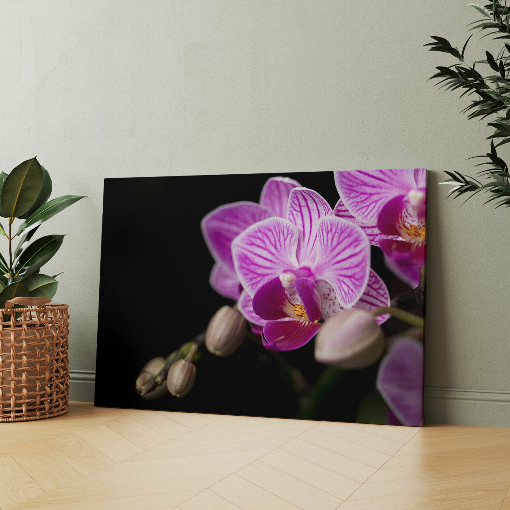 Картина на холсте (орхидея фаленопсис пестик темно розовый pinky) 20x30 см, для интерьера, в комнату, на стену, в подарок