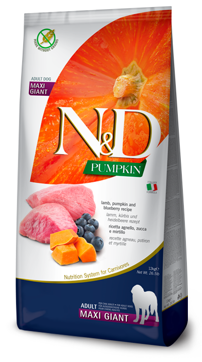 N&D Dog Pumpkin с ягненком, черникой и тыквой беззерновой сухой корм для взрослых собак крупных пород
