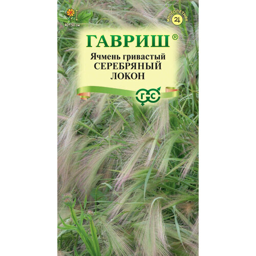 Семена Ячмень гривастый Серебряный локон, 0,1г, Гавриш, Цветочная коллекция, 8 пакетиков