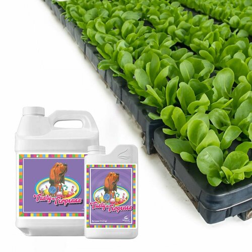 Удобрение Advanced Nutrients Tasty Terpenes, 500 мл