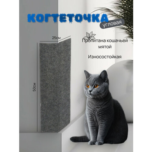 Когтеточка настенная Take Easy, для кошек, угловая, ковролин/фанера, 50x25см