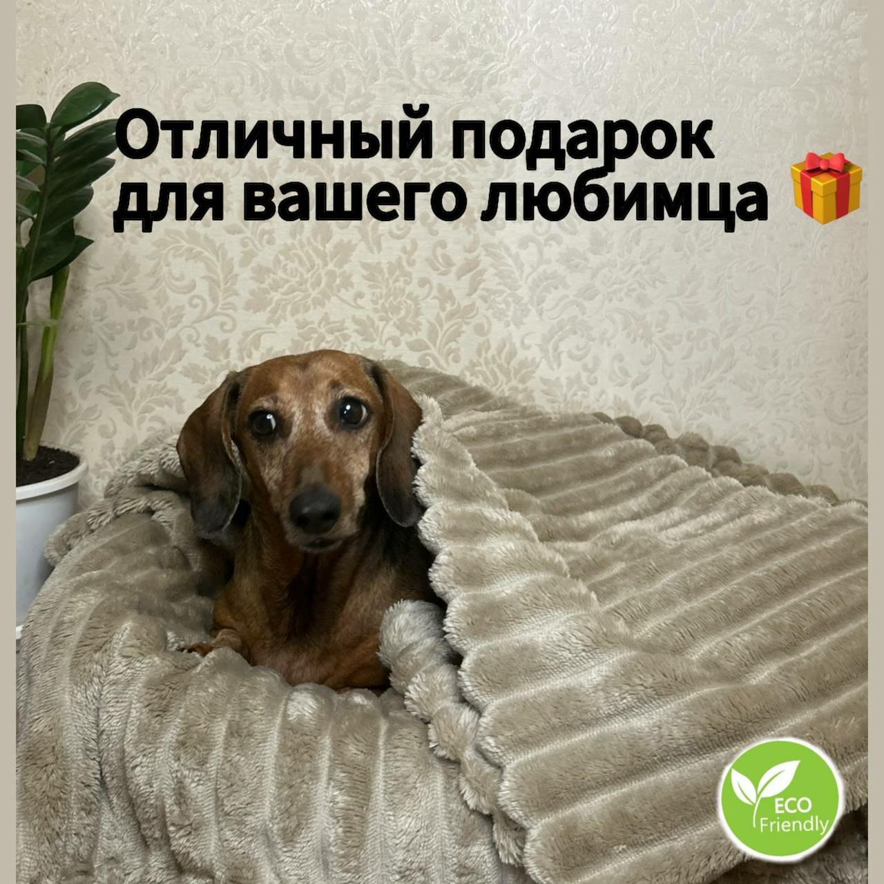 Плед для животных, кошек и собак, мелких и средних пород — фото 1