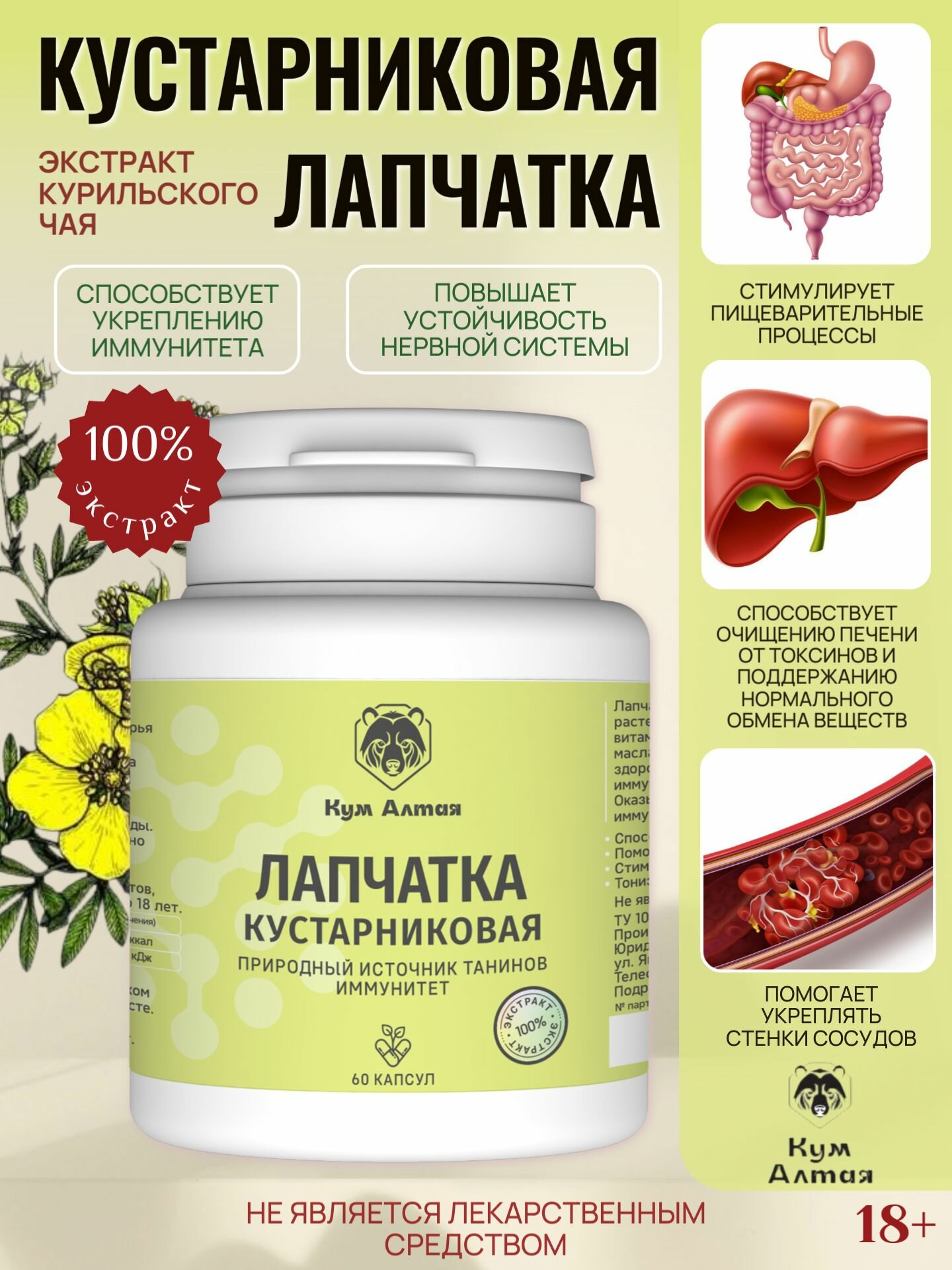 Лапчатка кустарниковая (экстракт курильского чая) КумАлтая 60 капсул
