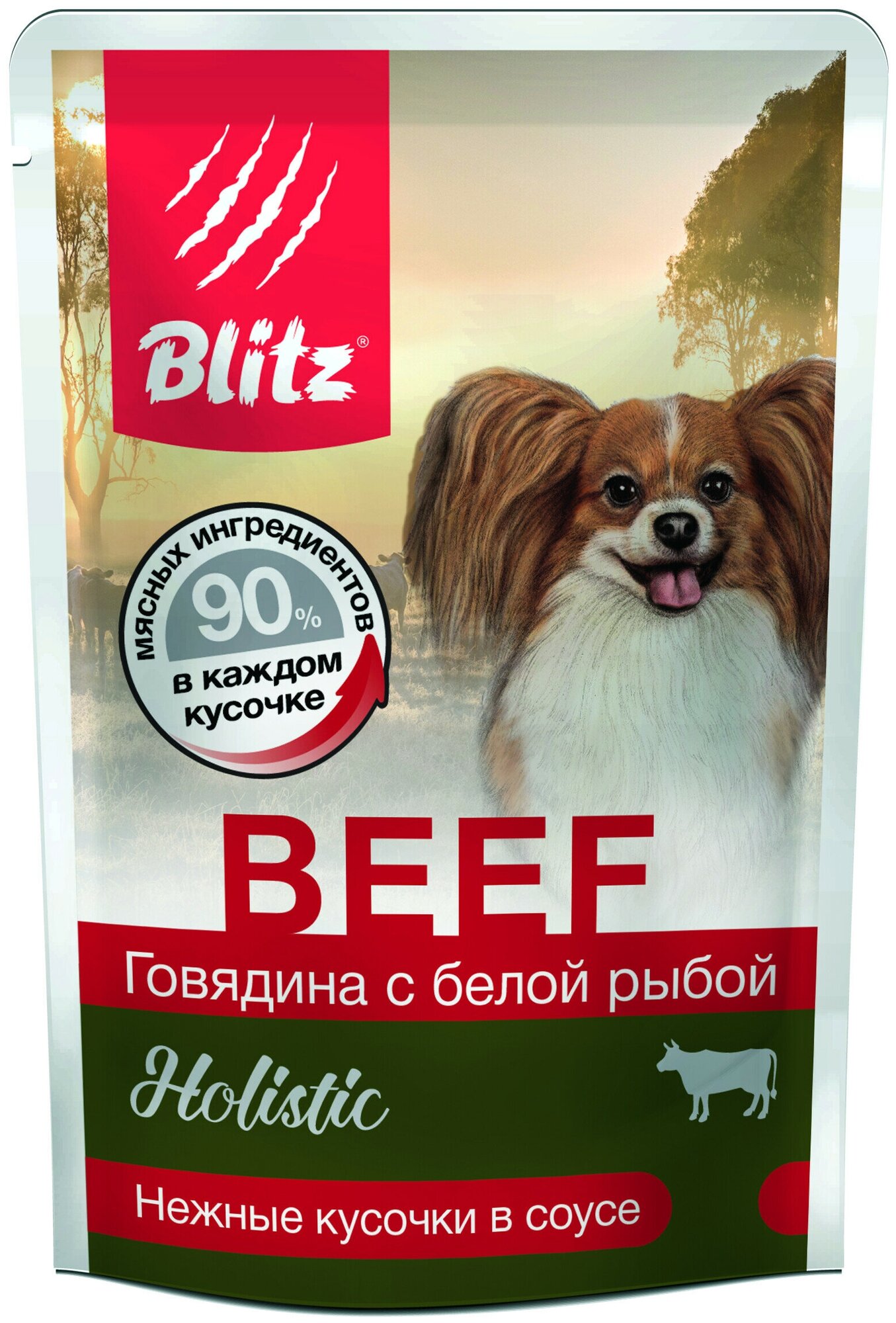 BLITZ HOLISTIC BEEF для взрослых собак маленьких пород с говядиной и белой рыбой в соусе (85 гр х 24 шт)