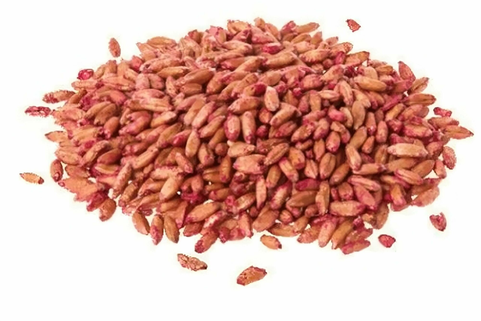Зерно от мышей и крыс 500 гр - универсальная приманка для уничтожения грызунов. Основу составляет зерно пшеницы с добавлением кукурузы.