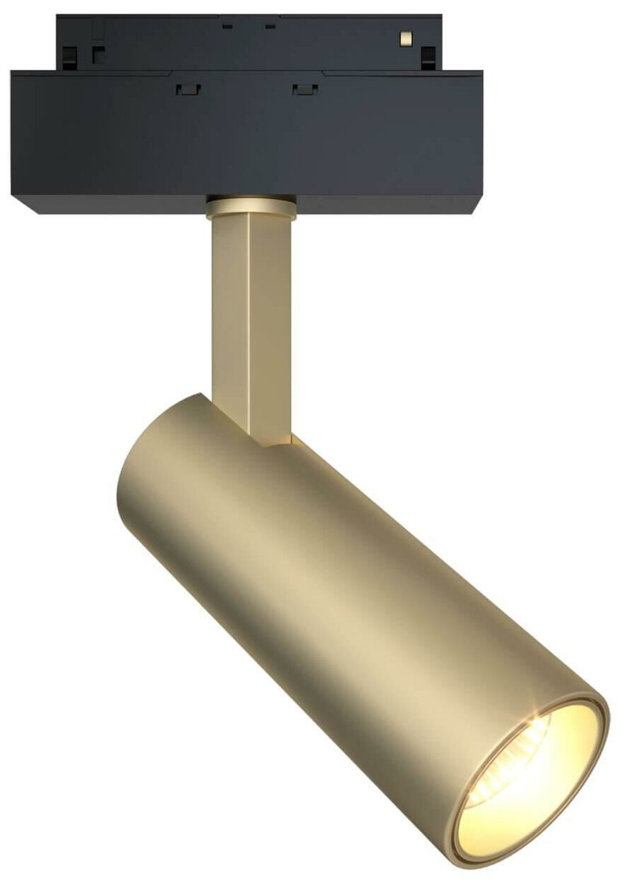 Трековый светильник Maytoni FOCUS LED TR019-2-10W3K-MG - фото №1