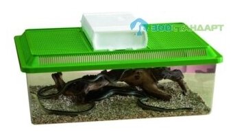 SAVIC Аква-террариум FAUNA BOX LOW 18л 50,5*30,5*17 см - фотография № 4