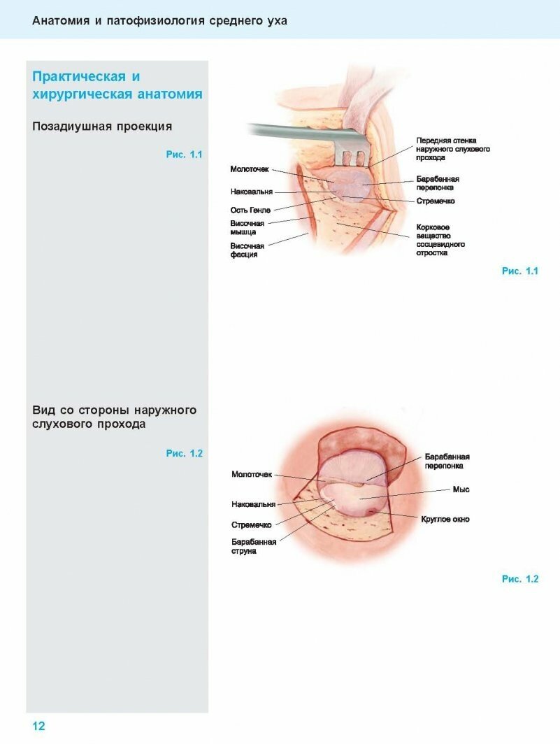 Хирургия среднего уха. Атлас (Герсдорф Мишель, Жерар Жан-Марк) - фото №5