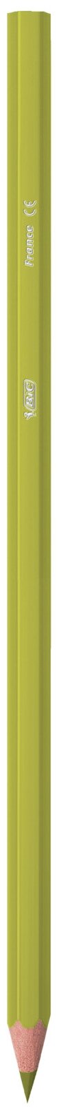 Карандаши цветные Bic Тропикулер 2 12 цв. пластик. - фото №11