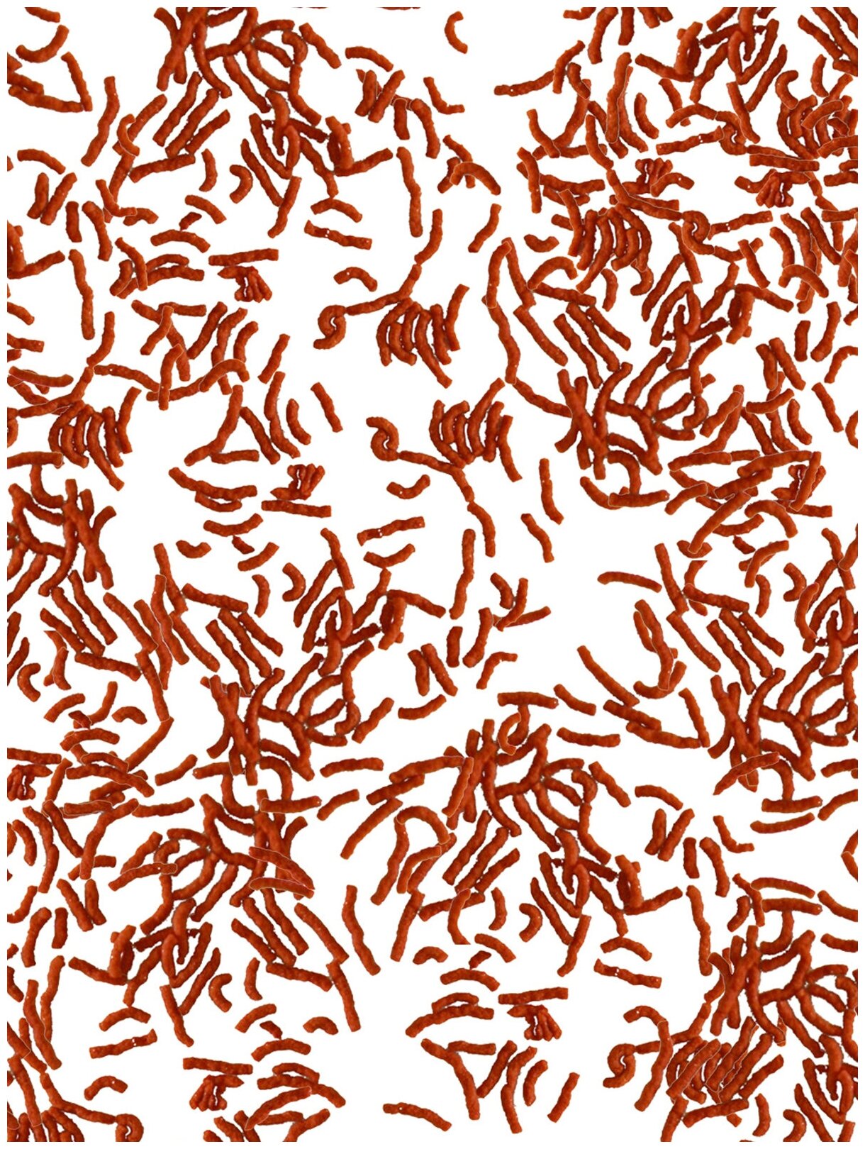 Tetra Betta LarvaSticks корм для петушков и других лабиринтовых рыб (в форме мотыля) 5 г. - фотография № 5