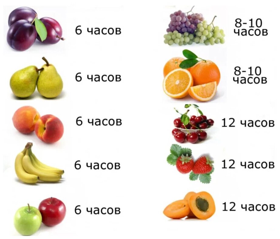 Сушилка для овощей и фруктов РОТОР СШ-002-12, белый, 5 поддонов - фото №3