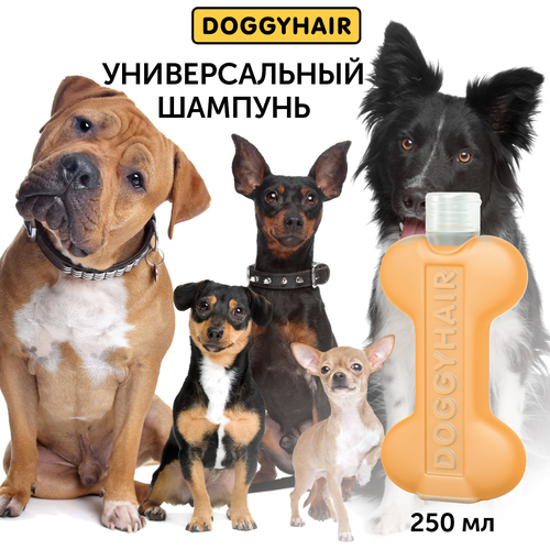 Doggyhair Шампунь универсальный с аргановым маслом, для всех типов шерсти