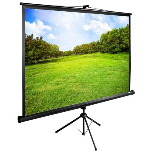 Экран напольный Cactus 150x200см TriExpert CS-PSTE-200х150-BK
