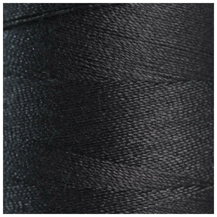Нитки 100ЛЛ, 1000 м, цвет черный №6816./В упаковке шт: 1