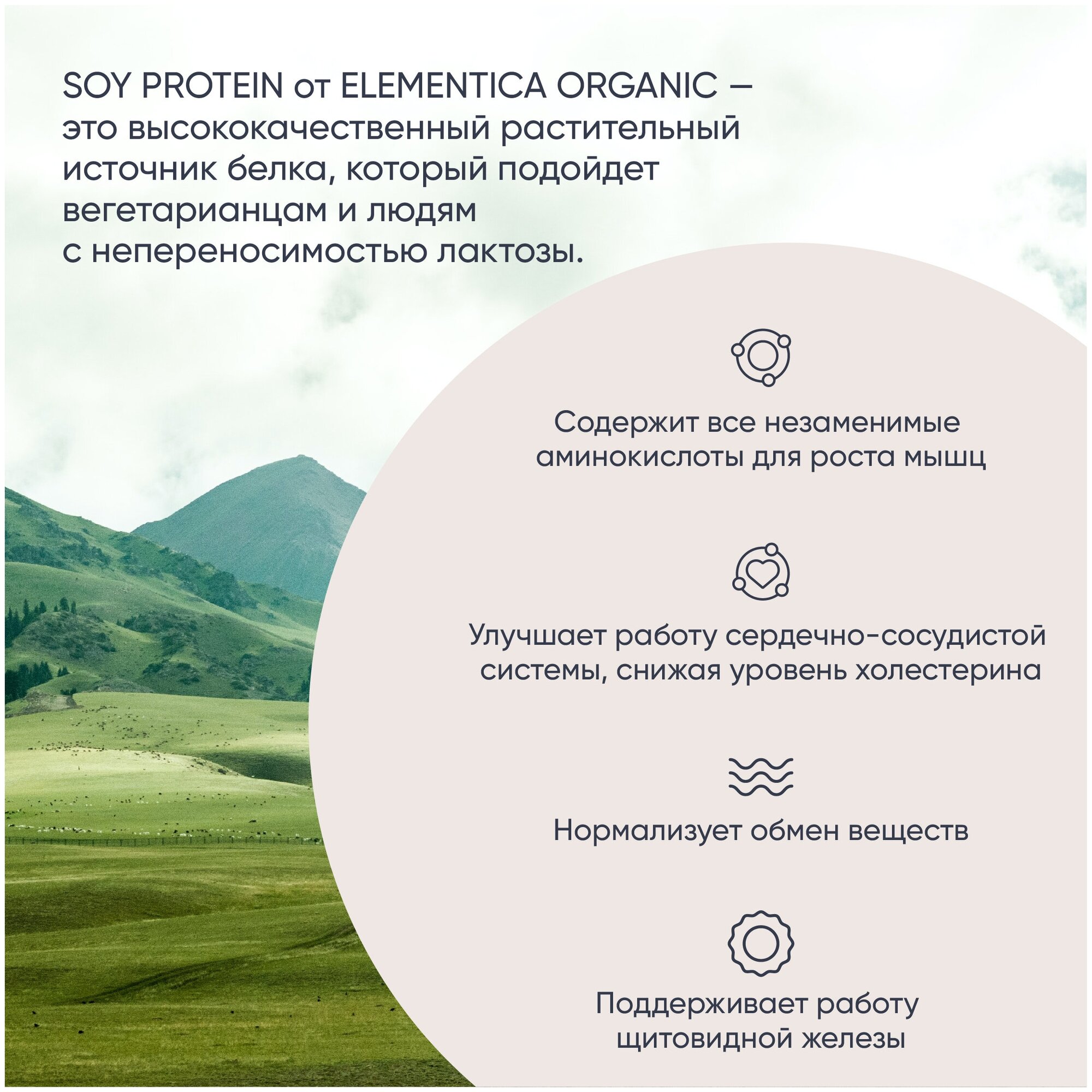 Соевый протеин, изолят соевого белка, soy protein, растительный порошок, шоколадное печенье, 900 г