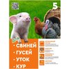 Универсальный комбикорм для свиней, гусей, уток, кур, телят (гранулы) 5 кг. - изображение