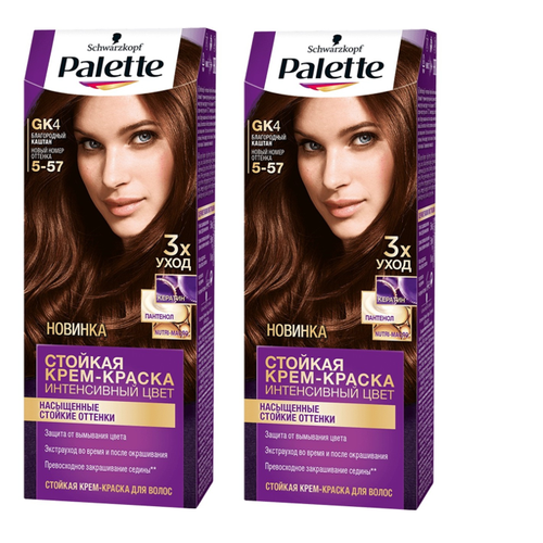 Стойкая крем-краска для волос Palette GK4 (5-57) 2 шт.