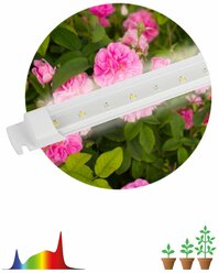 Светильник для растений линейный ЭРА FITO-10W-Т5-Ra90-Slim фитолампа светодиодная полного спектра 10 Вт Т5