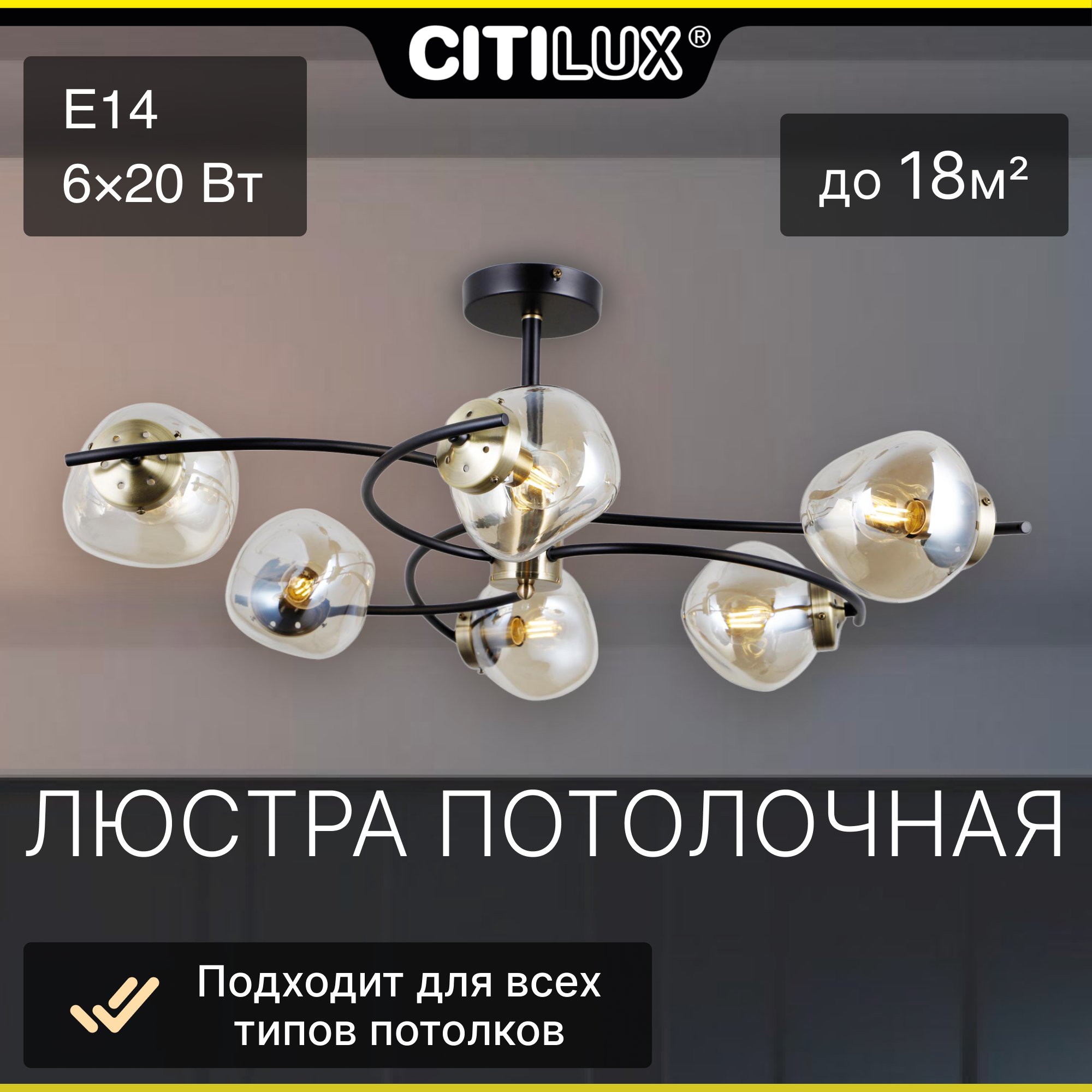 Потолочная люстра Citilux Фабула CL110165 - фото №1