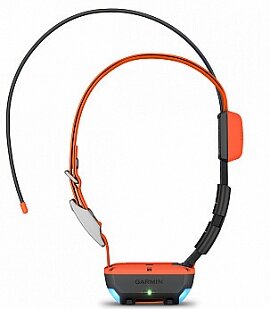 фото Ошейник Garmin Alpha T 20 Dog Collar