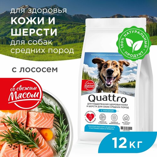 Quattro корм для взрослых собак средних пород, здоровье кожи и шерсти, с лососем 12 кг