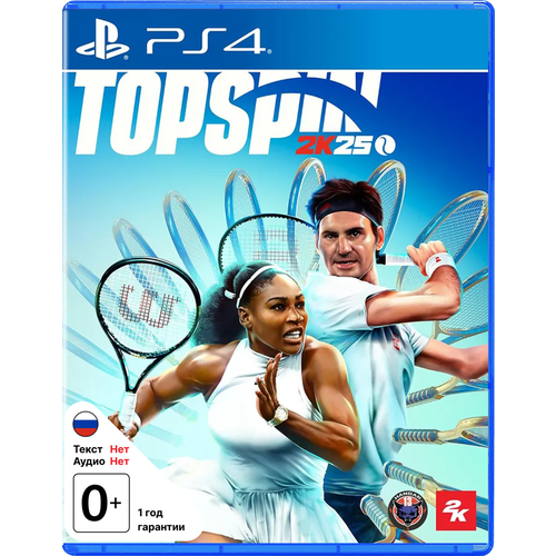 Игра TopSpin 2K25 (Playstation 4, PS4, английская версия) игра assetto corsa ps4 playstation 4 английская версия