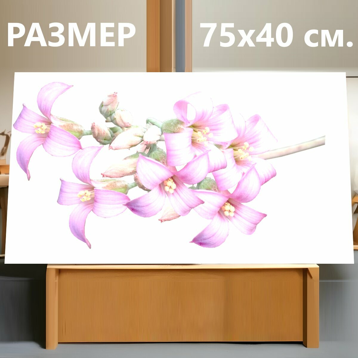 Картина на холсте "Цветы, розовый, сочный" на подрамнике 75х40 см. для интерьера