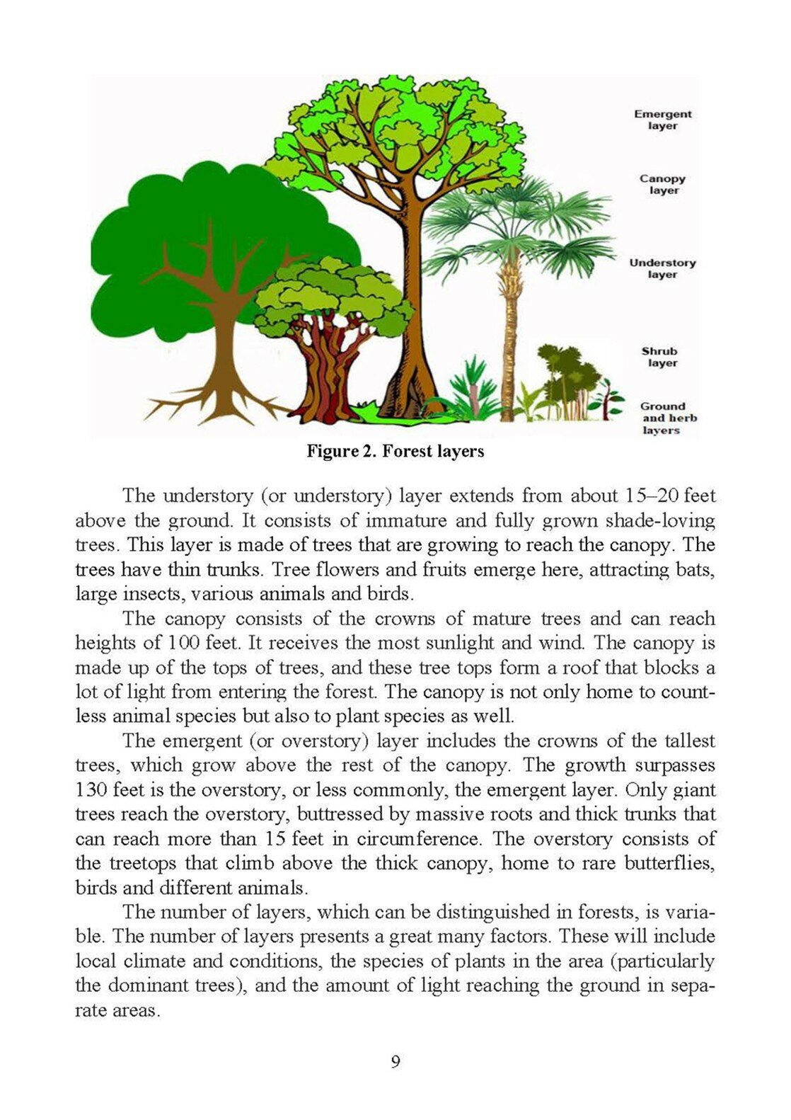 Английский язык для студентов-лесотехников. English for Forest Engineering Students. Учебное пособие - фото №2