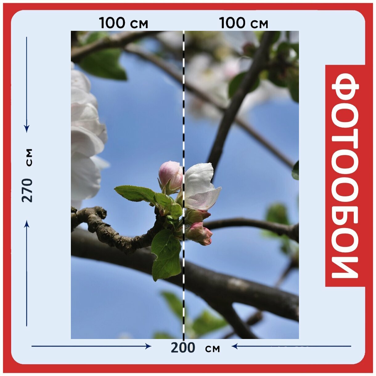 Фотообои "Яблоневый цвет, расцветает, яблоня" 200x270 см. флизелиновыена стену