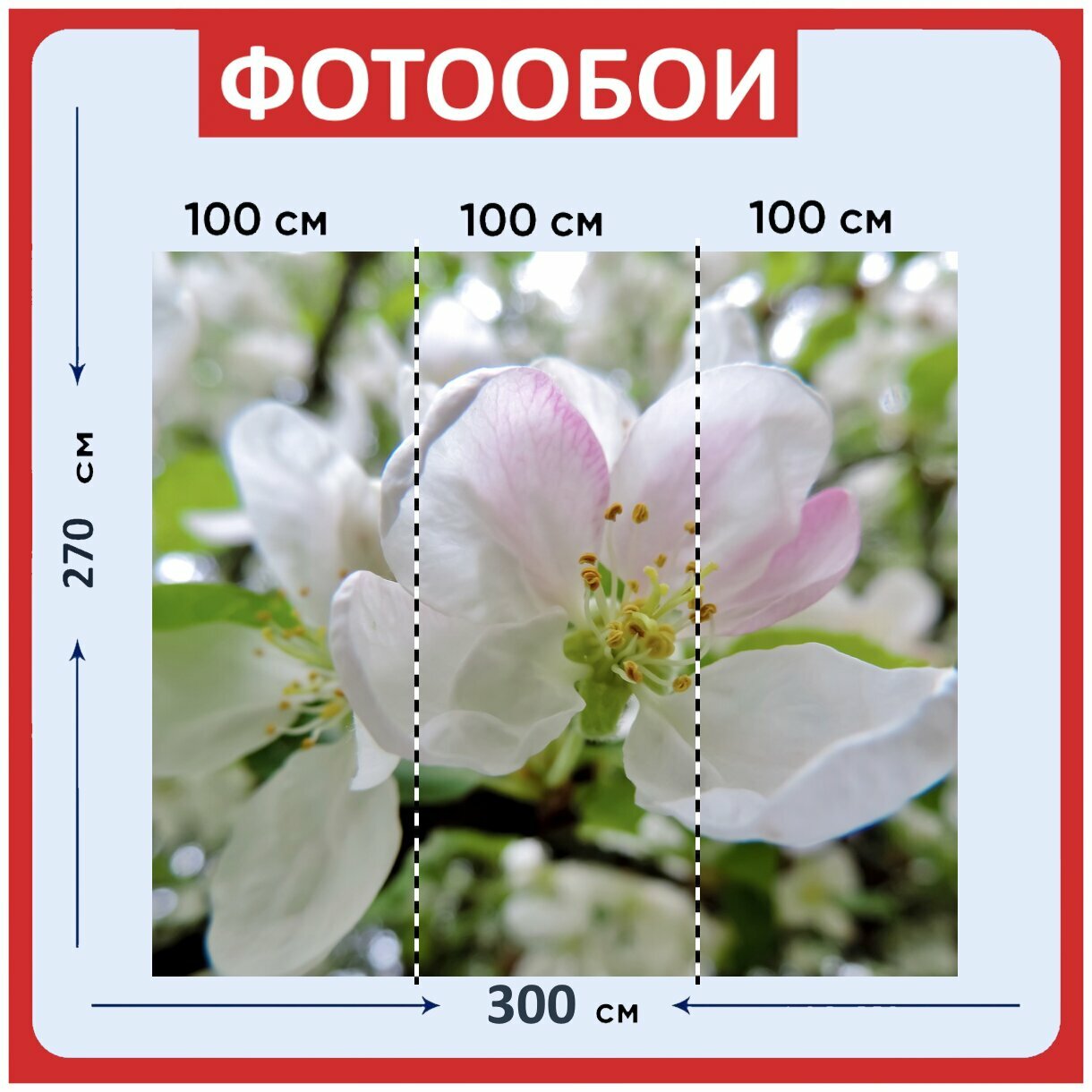 Фотообои ударопрочные моющиеся "Яблоневый цвет, цвести, яблоня" 300x270 см. флизелиновые на стену