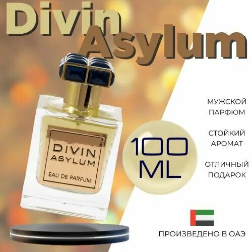 EAU DE PARFUM DIVIN ASYLUM Парфюмерная вода 100мл