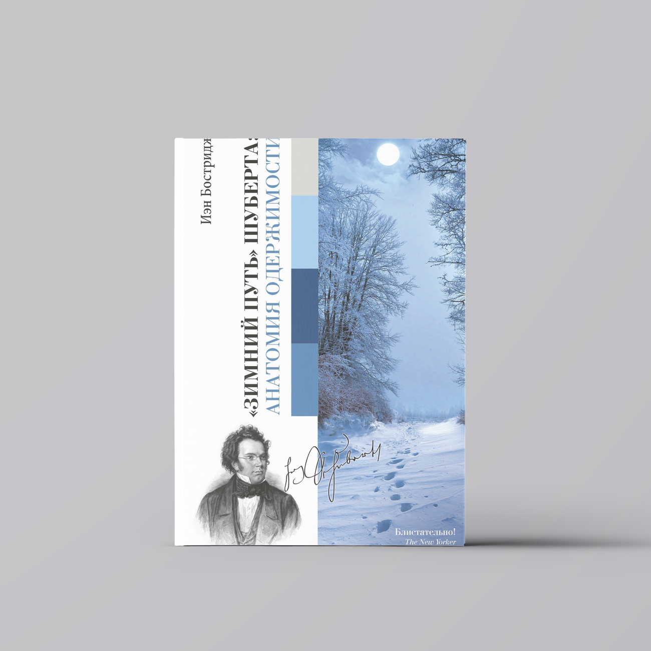 Зимний путь Шуберта: анатомия одержимости