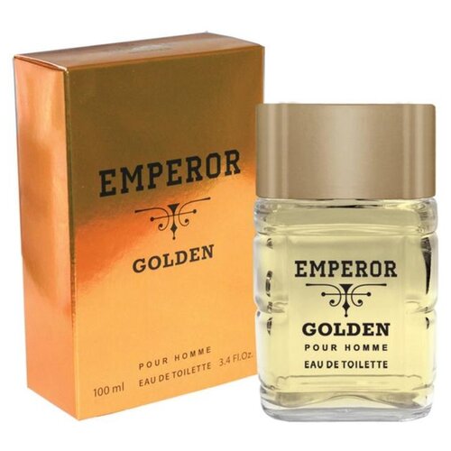 TODAY PARFUM Туалетная вода мужская Emperor Golden, 100 мл