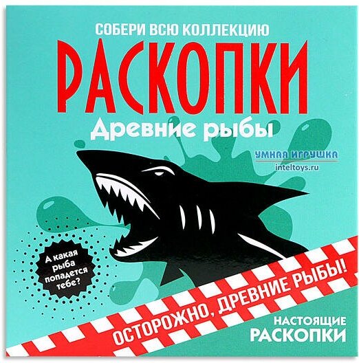 Набор для раскопок Бумбарам Древние рыбы, 1 эксперимент, зеленый